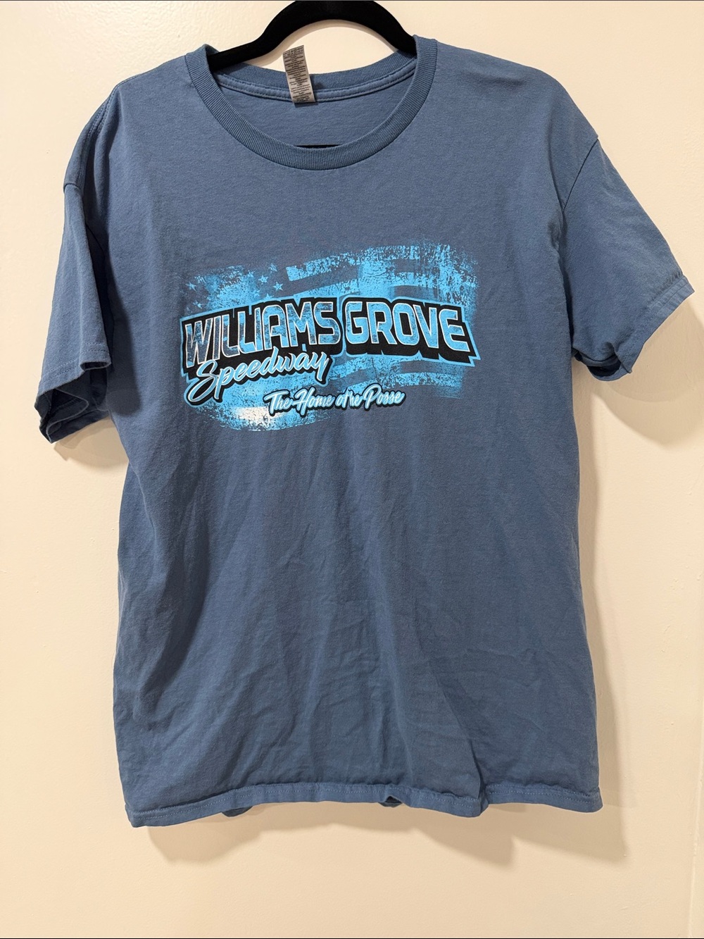 Vintage Williams Grove Speedway Graphic Tee